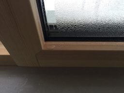 Montage Gutachten durch Sachverständiger Alexander Nestle Kondenswasser auf einem Fensterglas, Holzrahmen und verschwommene Sicht nach außen.